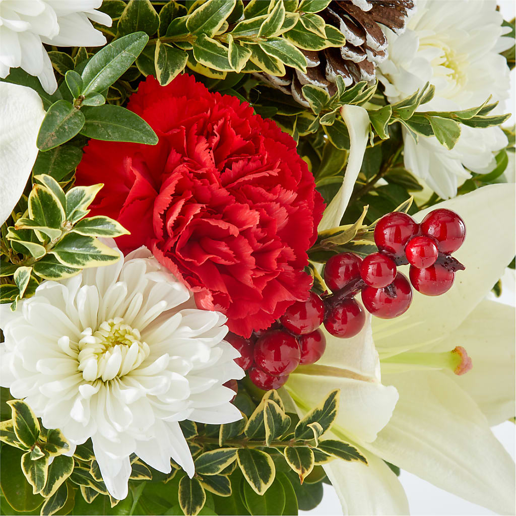 Festive Moments Tree –  Yosvi Gardens, Boca Raton FL