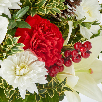Festive Moments Tree –  Yosvi Gardens, Boca Raton FL
