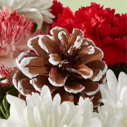 Candy Cane Lane Bouquet –  Yosvi Gardens, Boca Raton FL