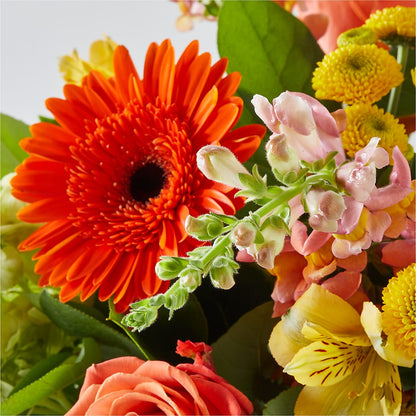 Autumn Sunshine Bouquet –  Yosvi Gardens, Boca Raton FL