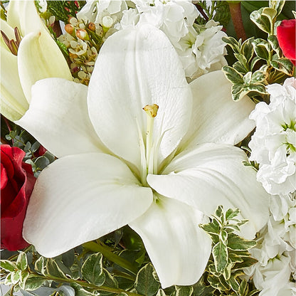 Twinkle Lights Bouquet –  Yosvi Gardens, Boca Raton FL